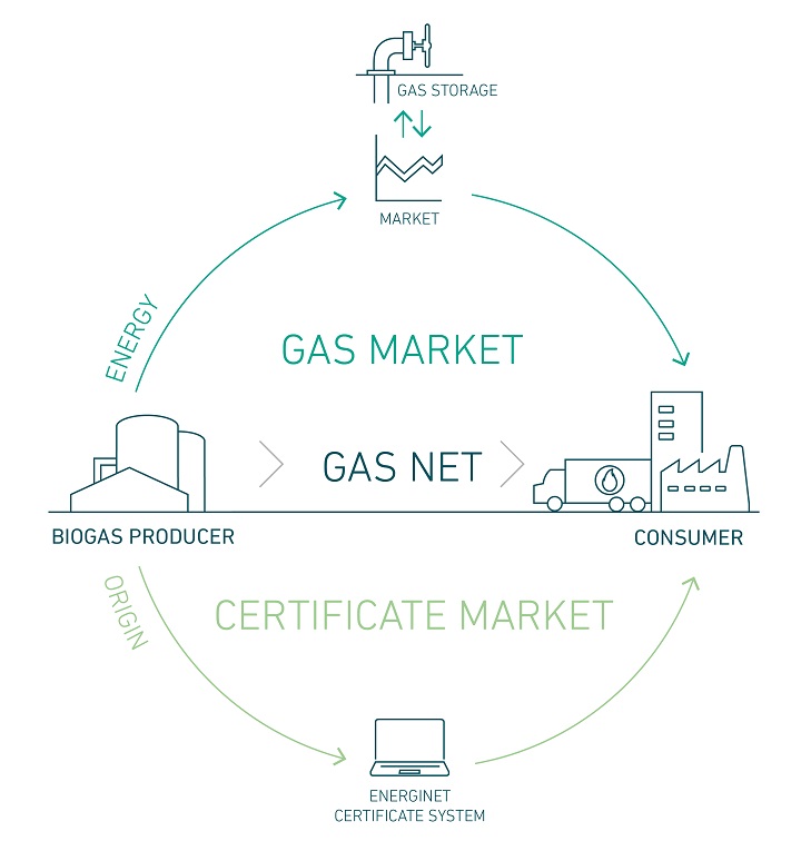 Figure of biomethane certificate model